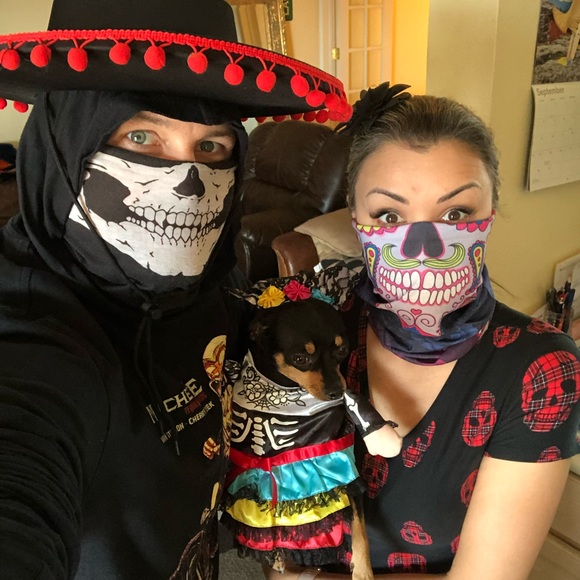 Meet your Posher, Posh - Picture 12 of 16